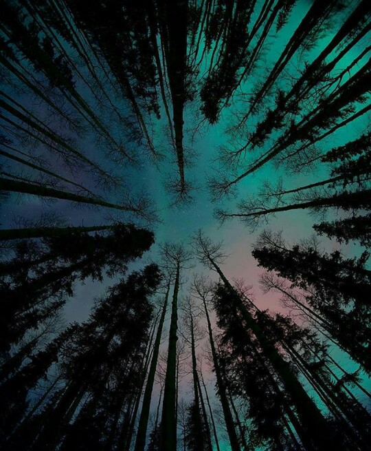 WHAT DO YOU STAND&nbsp;FOR?